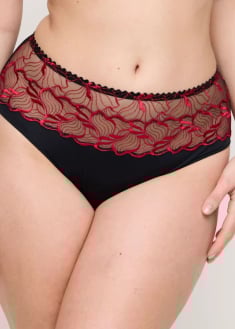 Slip Taille Haute 
