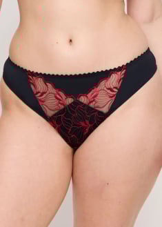 String Prima Donna