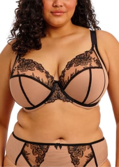 Soutien-gorge Plunge  Armatures Elomi