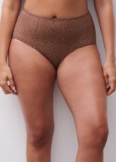 Culotte Taille Haute  Chantelle