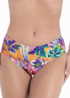 Bas de Bikini Slip Taille haute Maillots de Bain Rosa Faia Anita