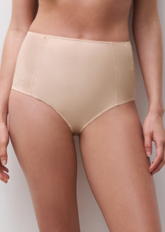 Culotte Taille Haute 