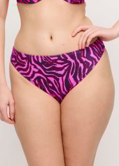 Bikini Slip Br�silien Maillots de Bain Prima Donna Swim