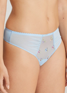 String Prima Donna