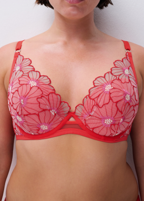 Soutien-gorge coques plongeant 