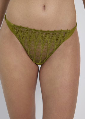 Tanga 