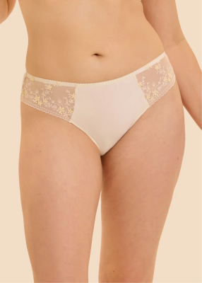 Culotte 