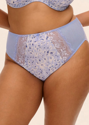 Slip Taille Haute 