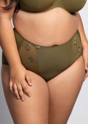 Culotte Taille Haute 