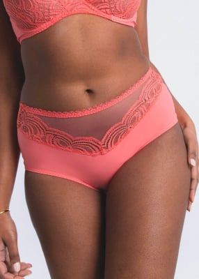 Culotte taille haute 