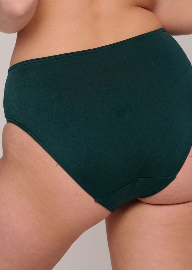 Bikini Slip Taille Haute Maillots de Bain Prima Donna Swim