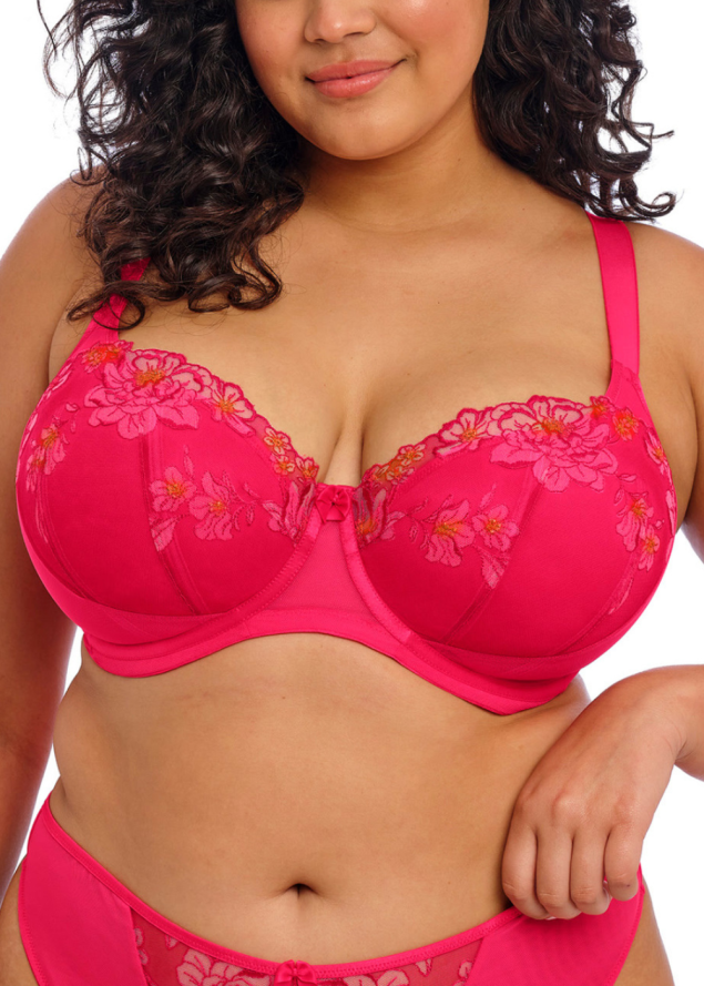 Soutien-gorge Plunge Padd  Armatures  Elomi