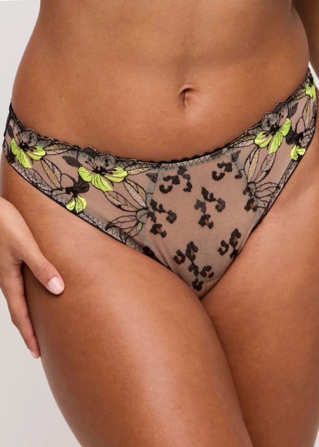 String Prima Donna