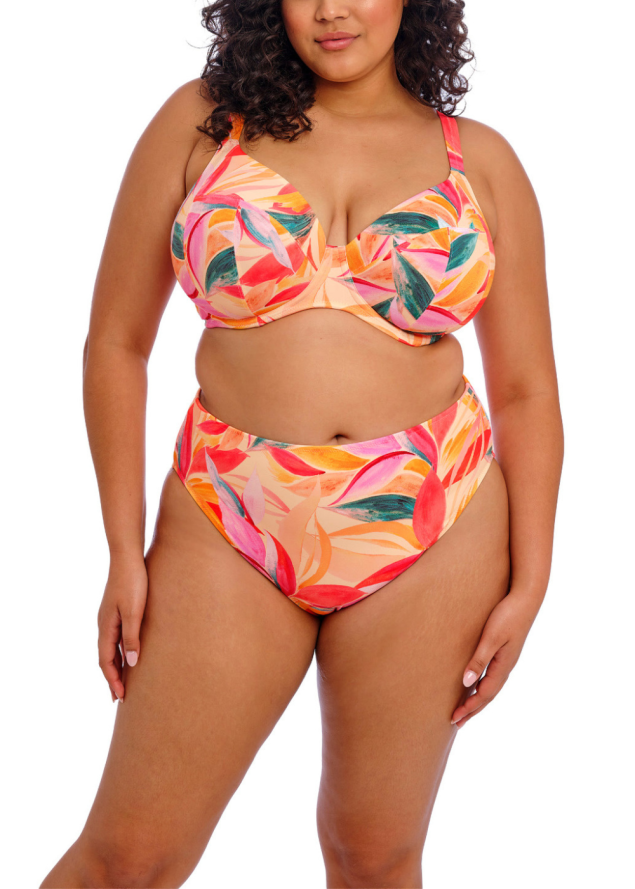 Bikini Slip mi-haute Maillots de Bain Elomi 