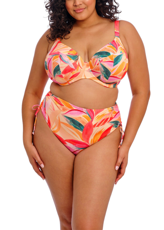 Slip Bikini Maillots de Bain Elomi 