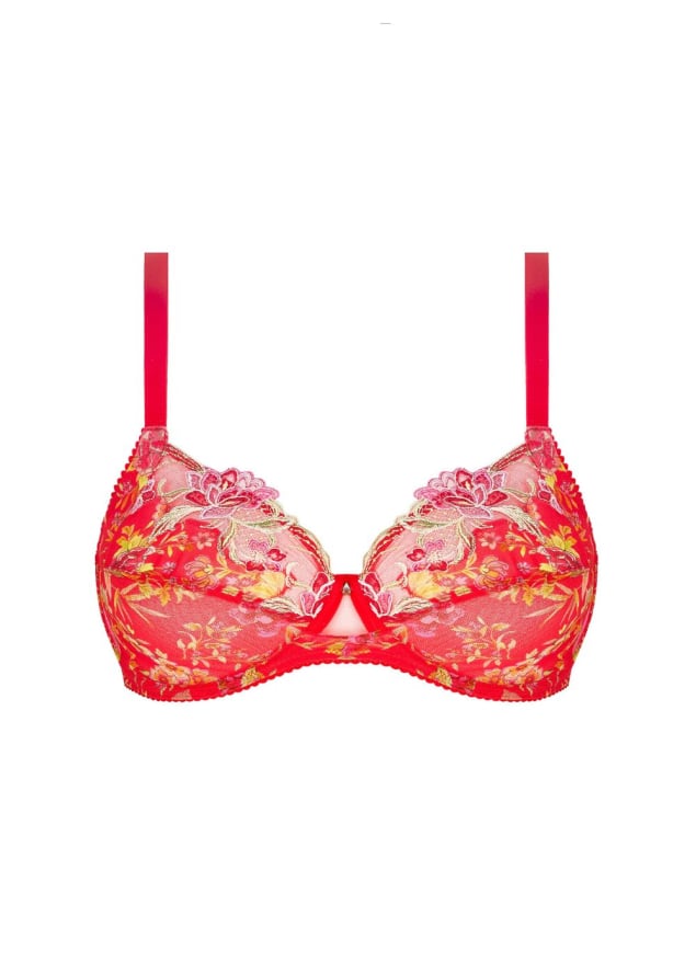 Soutien-gorge bien-tre Lise Charmel
