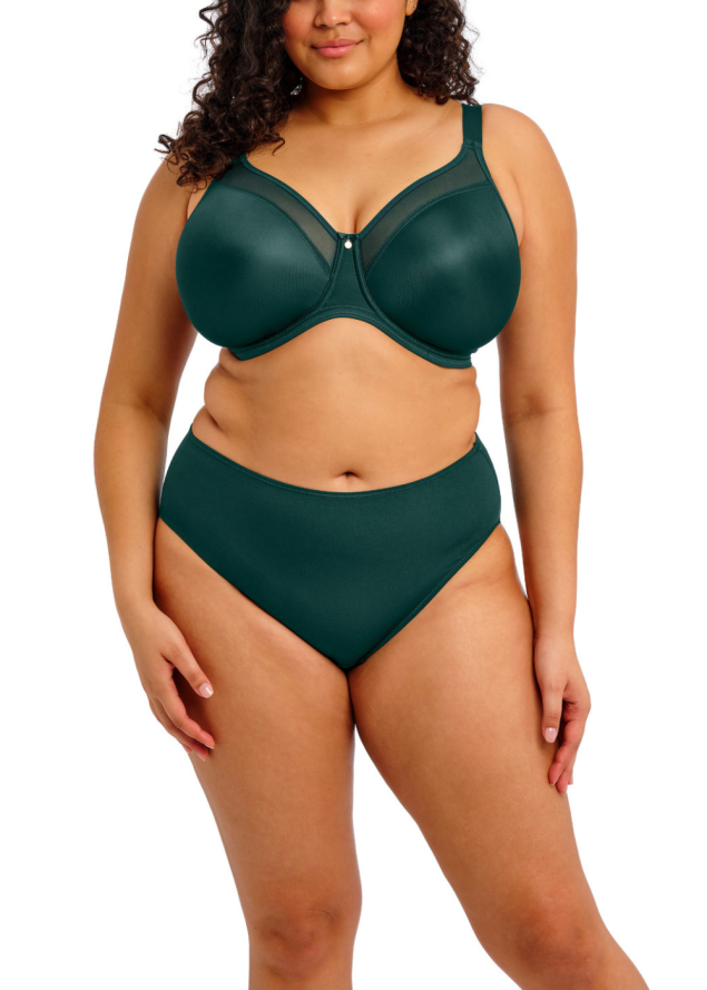 Culotte Elomi