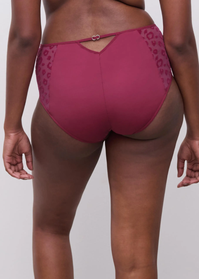 Culotte Taille Haute Chantelle