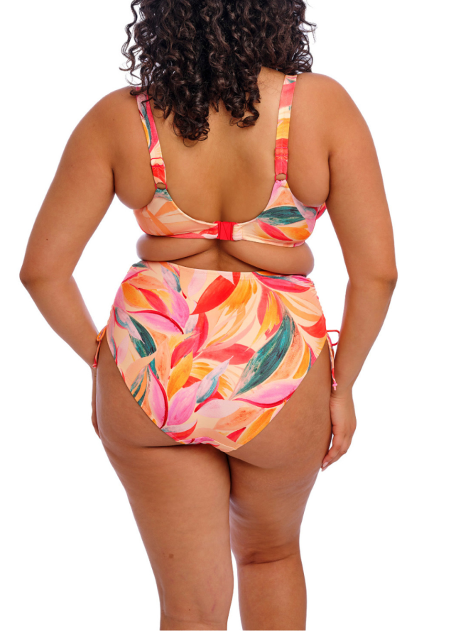 Slip Bikini Maillots de Bain Elomi 