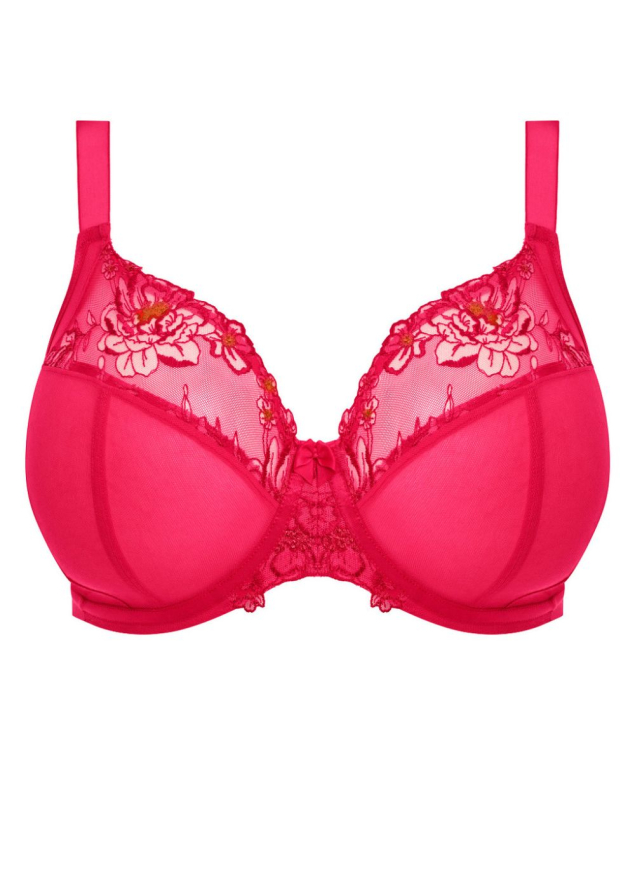 Soutien-gorge Plunge  Armatures Elomi