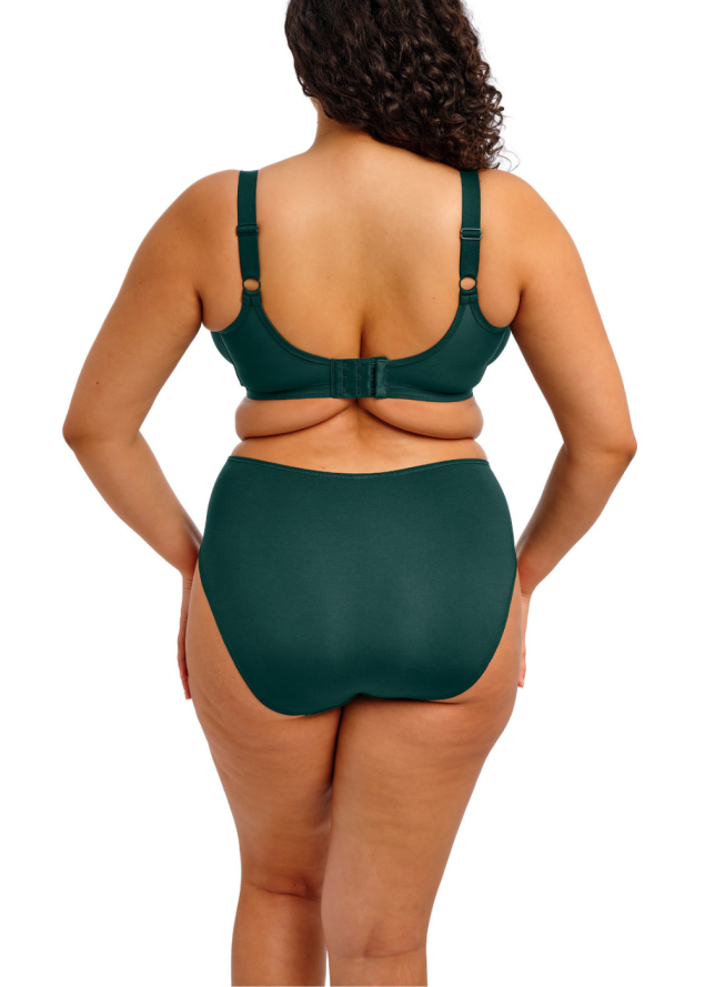 Culotte Elomi