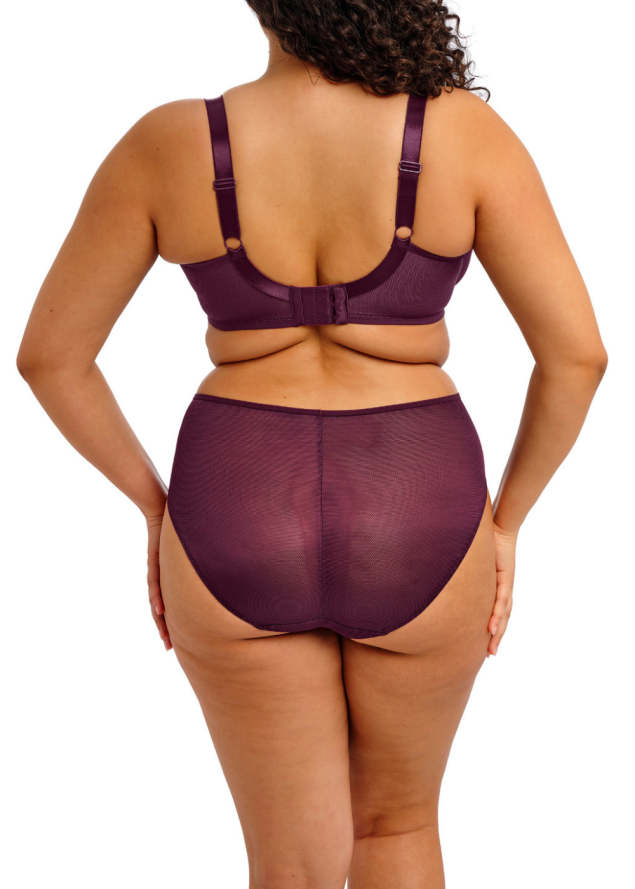 Culotte Elomi
