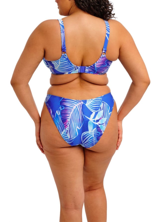 Bas de Bikini Slip chancr Maillots de Bain Elomi 