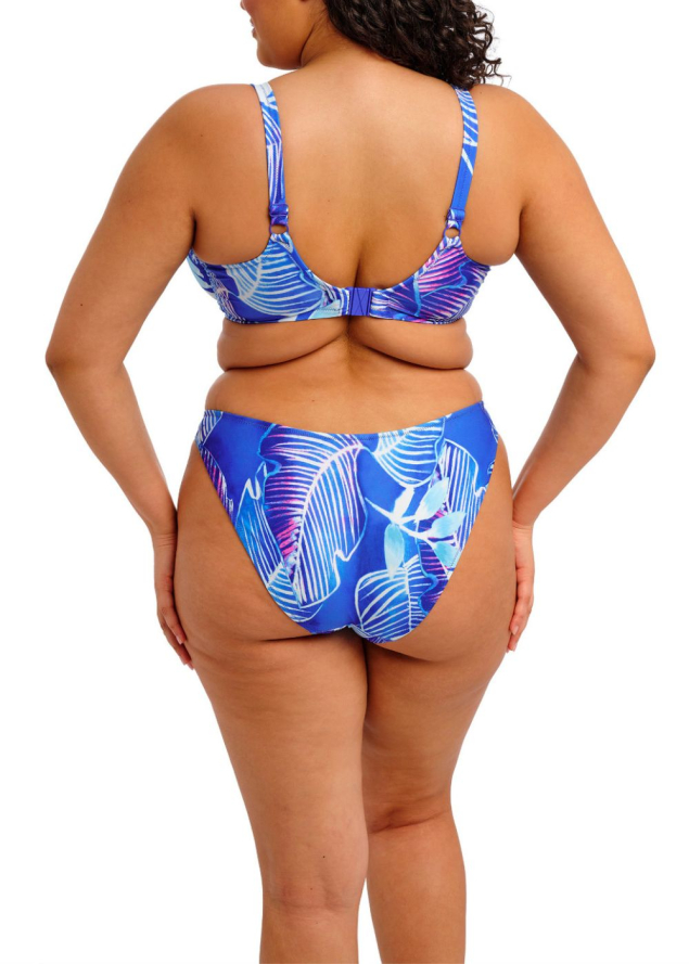 Bas de Bikini Slip chancr Maillots de Bain Elomi 