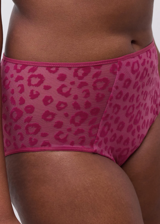 Culotte Taille Haute Chantelle