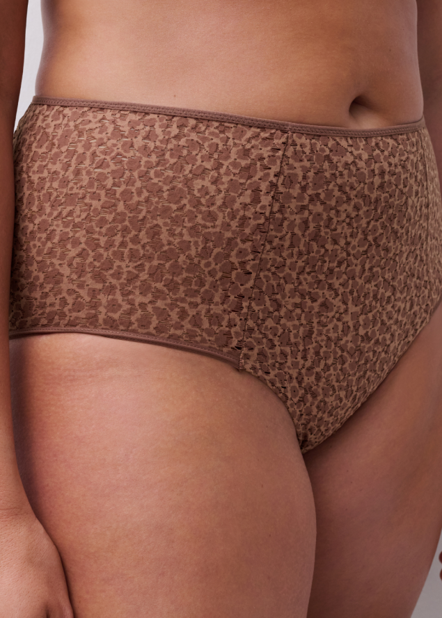 Culotte Taille Haute  Chantelle