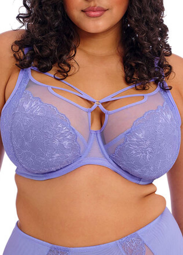 Soutien-gorge Armatures Plunge Elomi Jacaranda