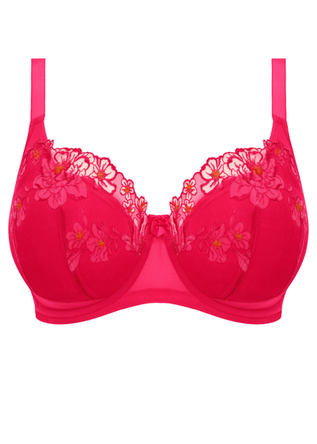 Soutien-gorge Plunge Padd  Armatures  Elomi