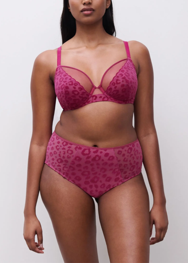 Culotte Taille Haute Chantelle