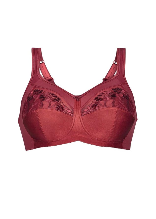 Soutien-gorge pour Prothses avec Fermeture  l'Arrire Anita Care  Kir Royal