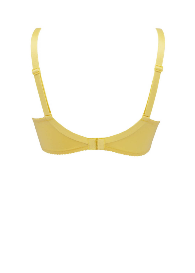 Soutien-gorge Emboitant Bonnets Profonds avec Armatures Lise Charmel
