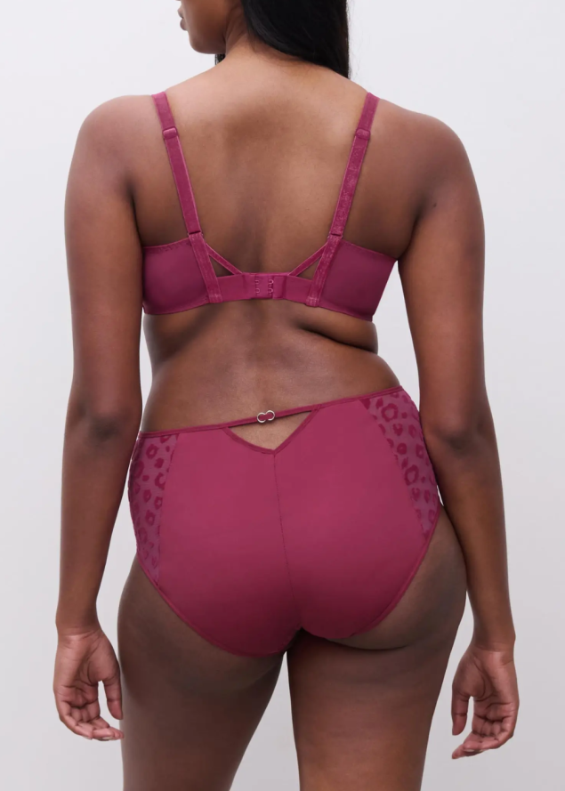 Culotte Taille Haute Chantelle