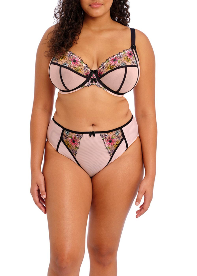 Culotte Elomi
