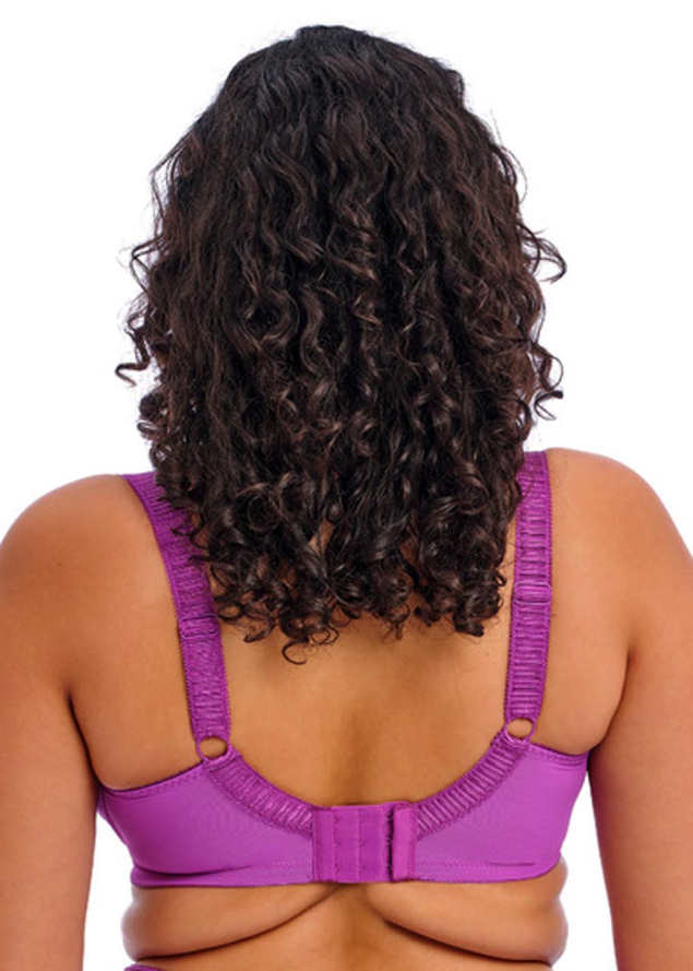 Soutien-gorge  Armatures Elomi