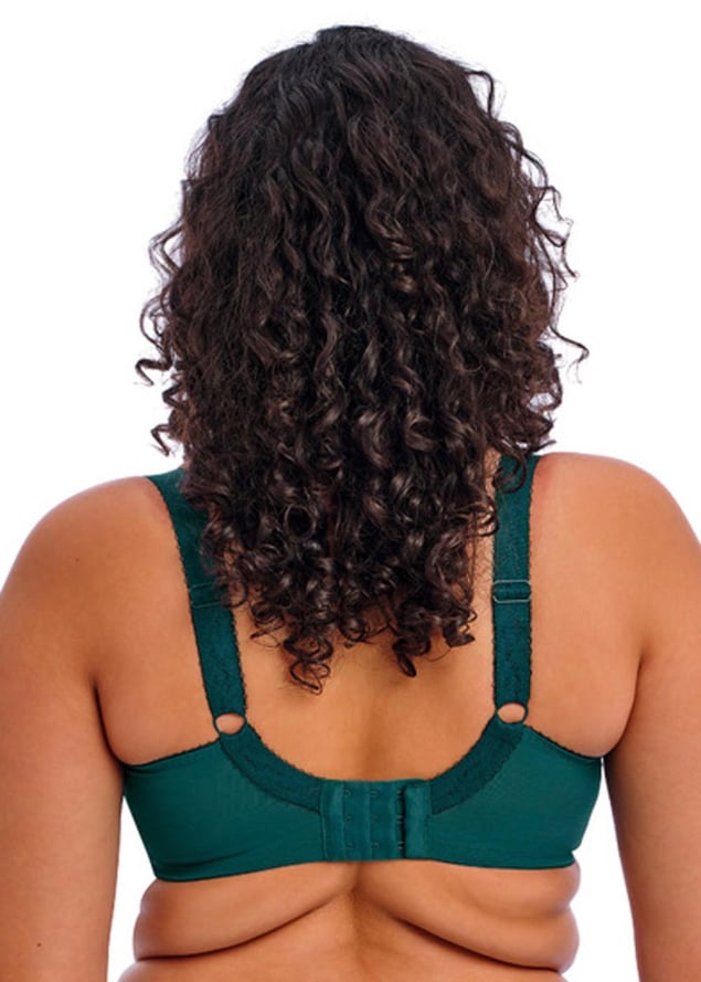 Soutien-gorge  Armatures Elomi