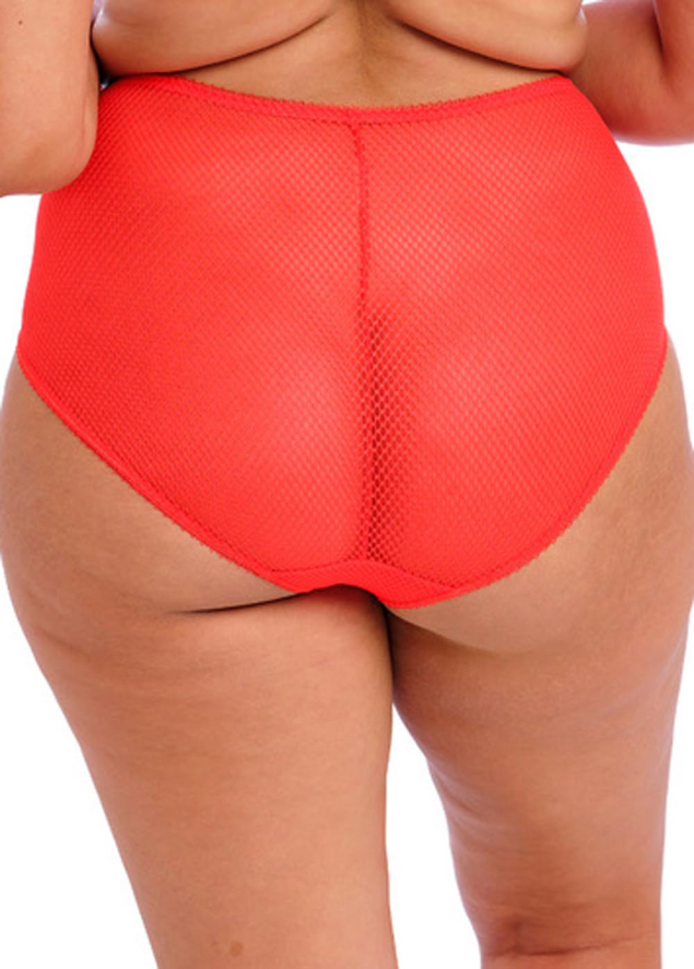 Culotte Elomi