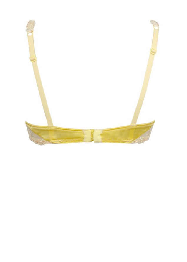 Soutien-gorge Emboitant avec Armatures Lise Charmel