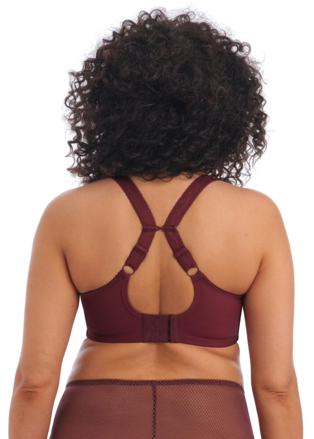 Soutien-gorge  Armatures Plunge Elomi Aubergine