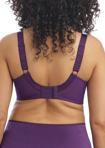 Soutien-gorge  Armatures Elomi Plum