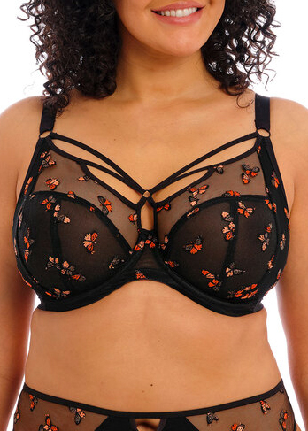 Soutien-gorge Plunge  Armatures  Elomi Black Butterfly