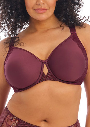 Soutien-gorge Spacer Moul  Armatures Elomi Aubergine