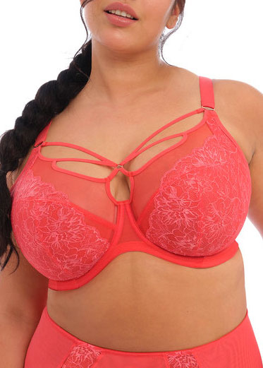 Soutien-gorge Armatures Plunge Elomi Cayenne