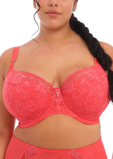 Soutien-gorge Balconnet Padd  Armatures Elomi Cayenne