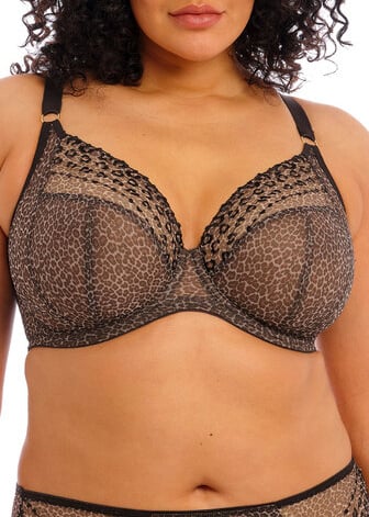 Soutien-gorge Plunge  Armatures Elomi Lopard