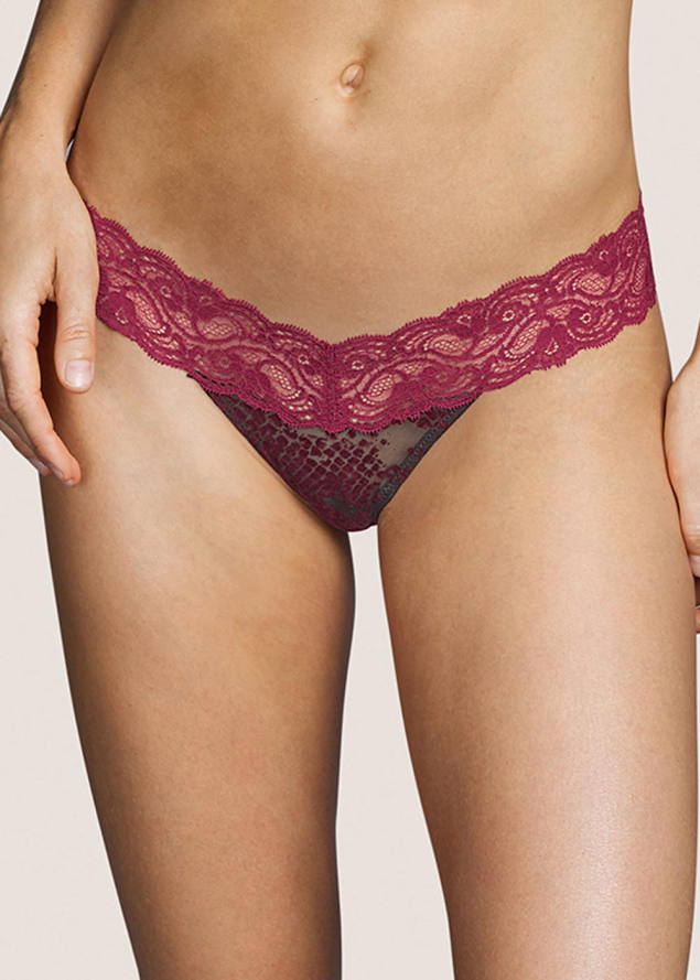 Shorty String Andres Sarda