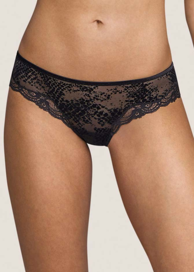 Shorty Andres Sarda